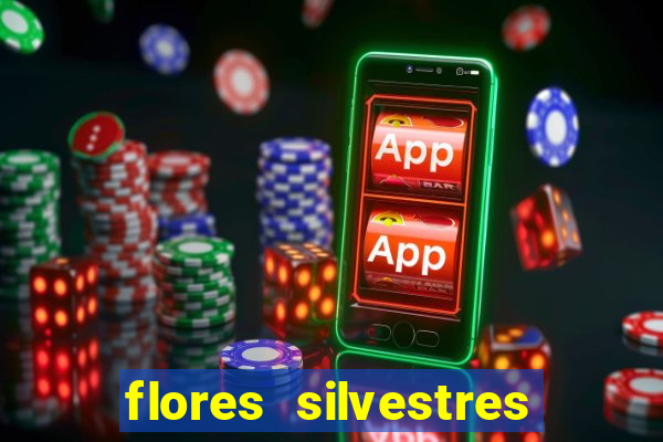 flores silvestres desbravadores desbravadores 25 flores silvestres e seus nomes